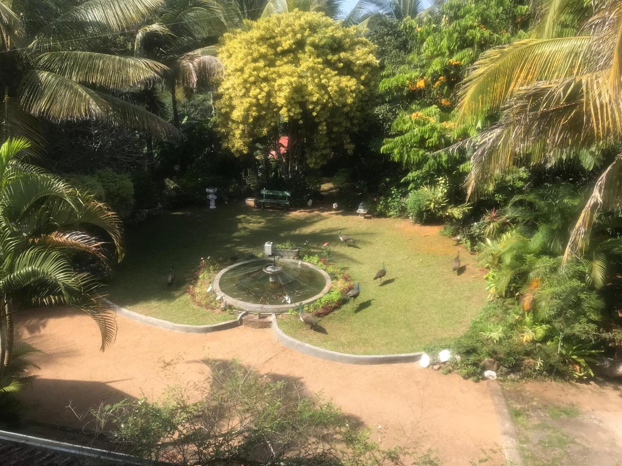 Wattarantanne Homestay Kandy Exterior photo