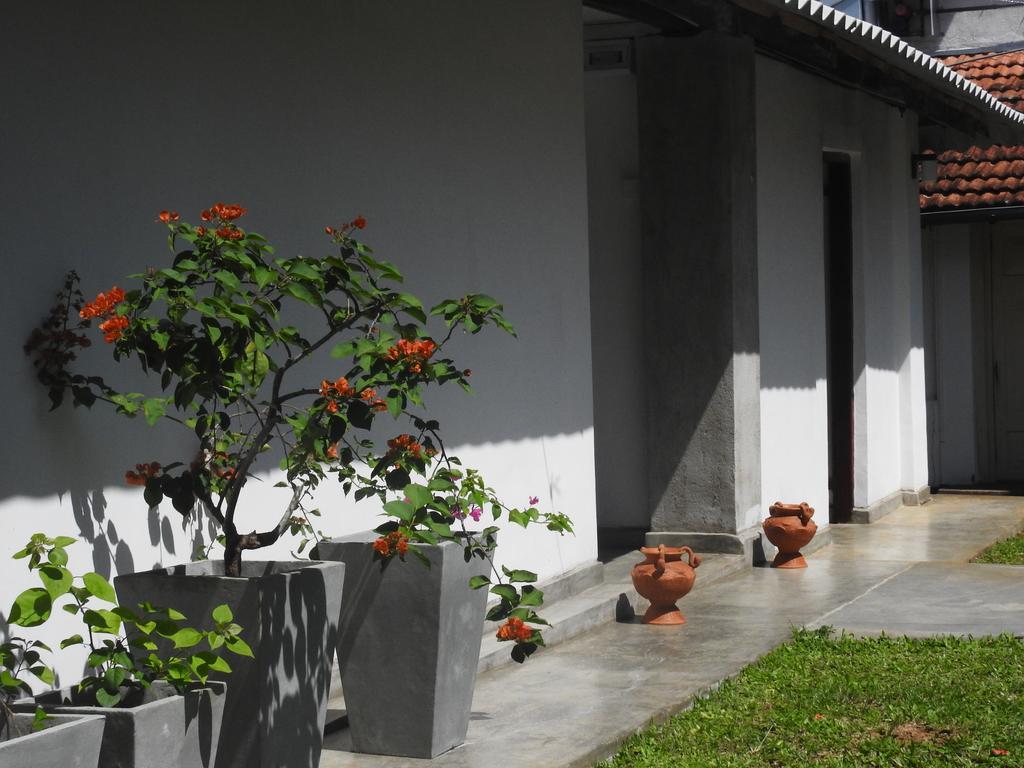 Wattarantanne Homestay Kandy Exterior photo